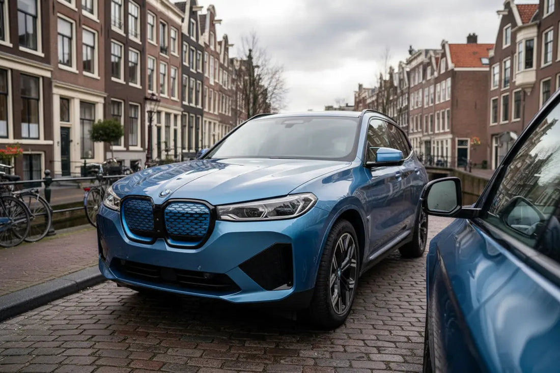  BMW autospiegels gestolen Fritzlock